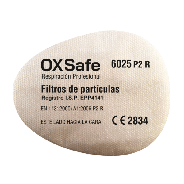 Filtro Contra Partículas P2 R 6025
